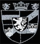 heraldic royal emblem shield graphic design