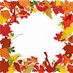 Vector autumn border. Easy to edit and modify. EPS file included.