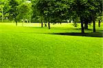 A morning view in garden park, with people exercising.