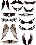 Collection of wing silhouette