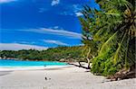 dream beach with white sands