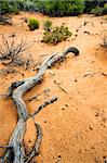 Snow Canyon in St. George, Utah