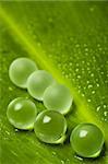 Water drops on leaf with marbles - nature background