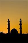 Mosque at sunset