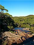 Rainforestlike setting in Sydney National Park