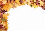 very nice yellow and brown autumnal leaves background