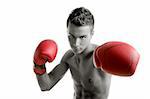 Young handsome boxer man isolated on white, studio shot