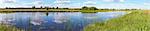 Summer rushy lake panorama view with clouds reflections. Eleven shots composite picture.