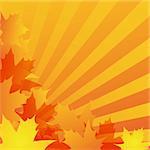 abstract autumn background design with maple leaves