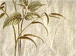 Images of a plant with green leaves on old wallpaper