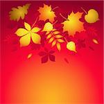 Vector background with autumn leaves. EPS 8, AI, JPEG