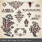 collection of vintage floral ornaments and design elements