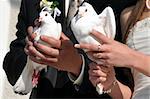 After the wedding newlyweds are holding two white doves symbolising their love