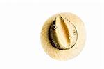 a nice hat isoleted on white background