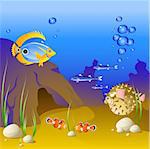 The underwater world of tropical fish.  EPS 8, AI, JPEG