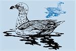 Hand drawn image of a floating seagull.