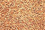 Buckwheat grains as background.