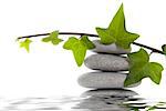 Stack of pebbles with water reflection and ivy