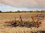 some rusty harrows in a plowed field with trees and a colorful cloudy sky