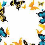 The butterfly on a white background. Vector illustration