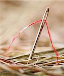 Needle with a red thread in a haystack