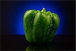 Green sweet pepper with water drops on  dark blue background