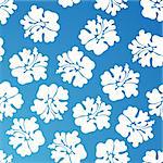A repeating wallpaper pattern - blue hibiscus.