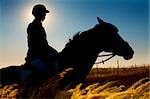 Jockey  and horse silhouettes in the field in summertime