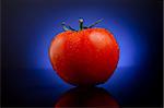 Fresh tomato with water drops on dark background with blue gradient