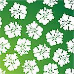 A repeating wallpaper pattern - green hibiscus.