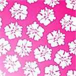 A repeating wallpaper pattern - pink hibiscus.