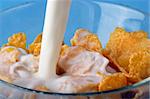 Small portion of cornflakes and milk stream in the little glass bowl over blue background