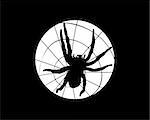 spider on the spiderweb, vector illustration