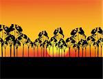 Nice sunset in Africa with red sky and silhouettes