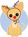 Chihuahua  dressed for Christmas as Rudolf