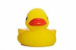 yellow rubber duck isolated on white