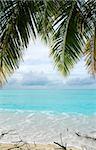 Beautiful tropical beach with white sand and palm in the Maldives