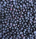 very nice fresch blueberries natural food  background