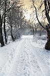 winter alley, setting sun in background