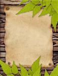 Grunge background with paper sheet and green leaves