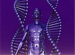 DNA strands and human body on violet background - 3d illustration