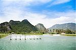 Shrimp Farms. Sam Roi Yot National Park. Thailand