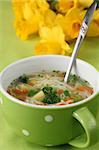 Delicious vegetable soup with carrot, potato, broccoli, green beans, parsley and noodles