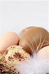 Brown Easter eggs with feathers on white background