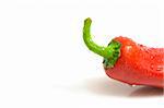 close-up on a fresh chili pepper, isolated on white, copy space