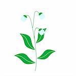 Vector illustration of lily of the valley