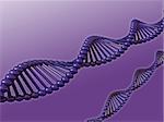 DNA strands on violet background - 3d illustration