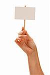 Woman Holding Blank White Sign Isolated on a White Background - Ready for Your Own Message.