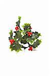 sprig of christmas holly on a white background