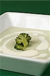 Delicious broccoli cream soup in a white bowl